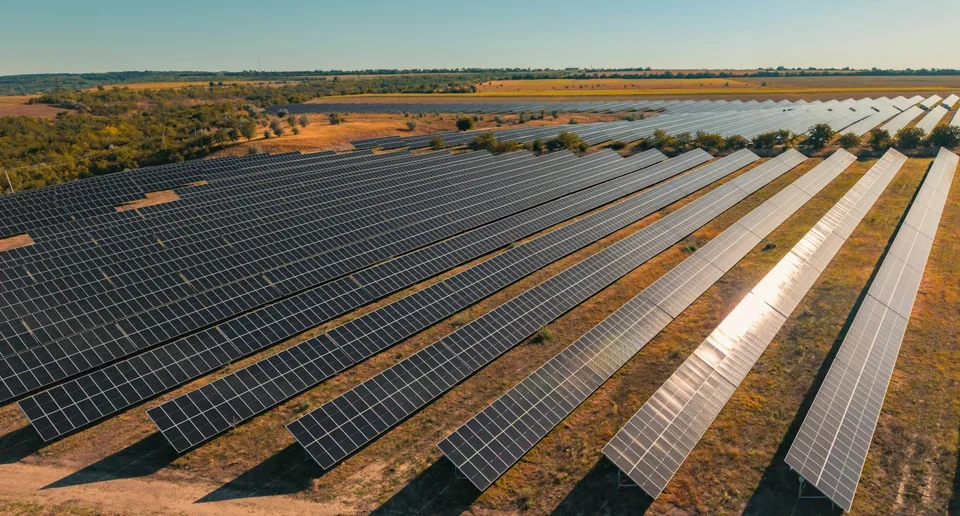 Rows of solar panels at a utility-scale solar farm.